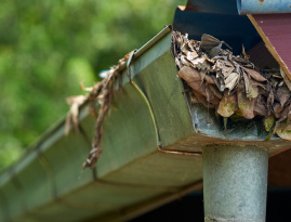 Clogged gutter 1