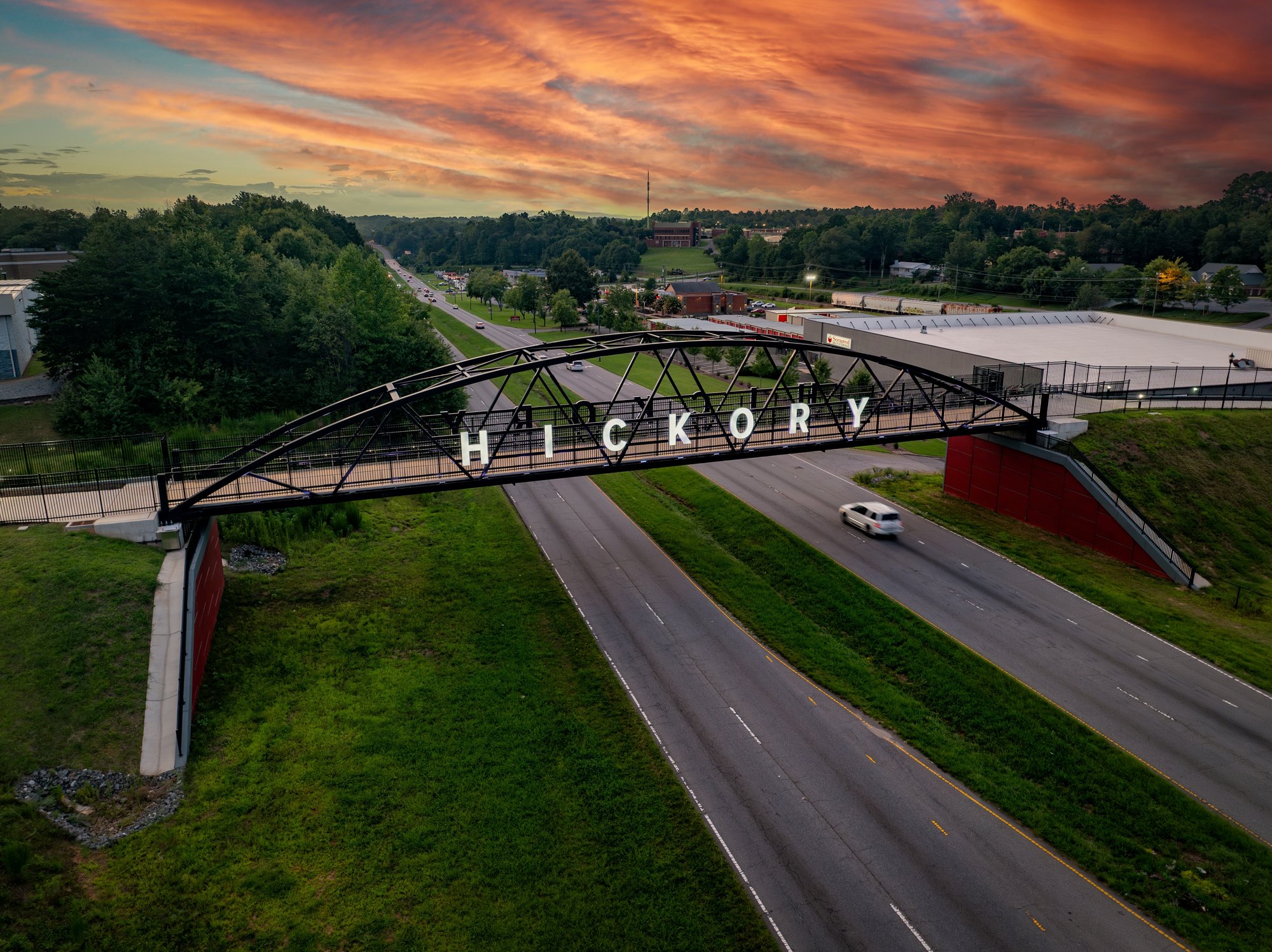 hickory